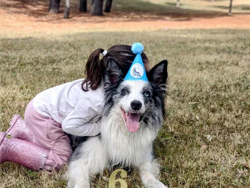 Fiesta temática de la patrulla canina con perrito y gorro de cumpleaños